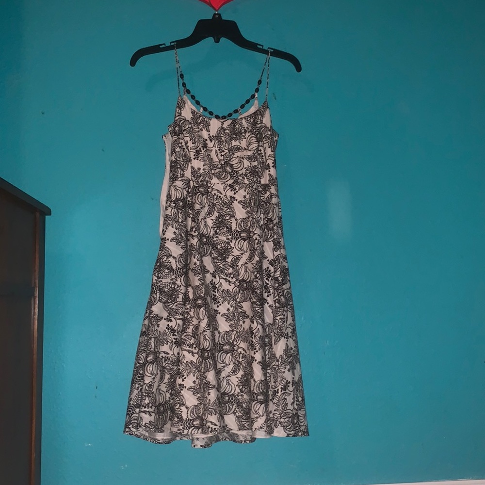 Ann Taylor Loft Petites. Medium. 100% cotton
